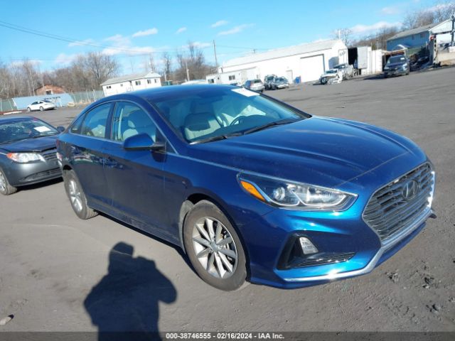 HYUNDAI SONATA 2019 5npe24af6kh815951