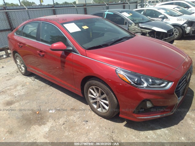 HYUNDAI SONATA 2019 5npe24af6kh816615