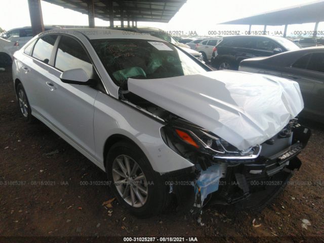 HYUNDAI SONATA 2019 5npe24af6kh817005