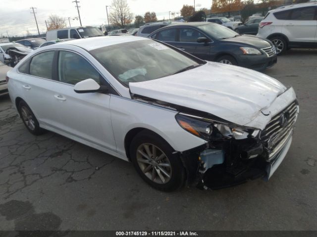 HYUNDAI SONATA 2019 5npe24af6kh819076