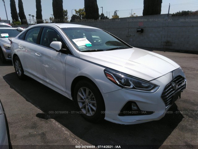 HYUNDAI SONATA 2019 5npe24af6kh819353