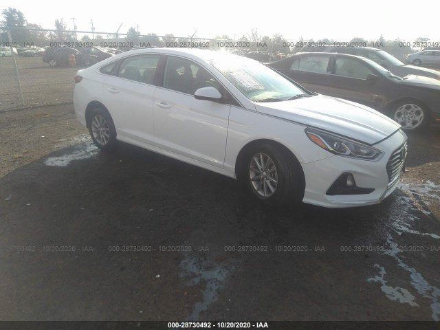 HYUNDAI SONATA 2019 5npe24af6kh819367