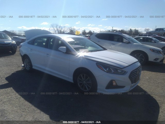 HYUNDAI SONATA 2019 5npe24af6kh819546