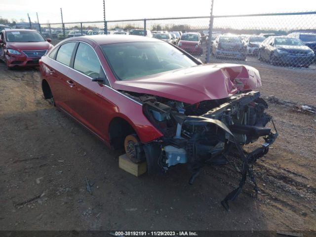 HYUNDAI SONATA 2015 5npe24af7fh002995