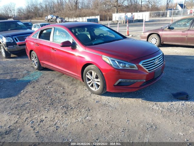 HYUNDAI SONATA 2015 5npe24af7fh013902