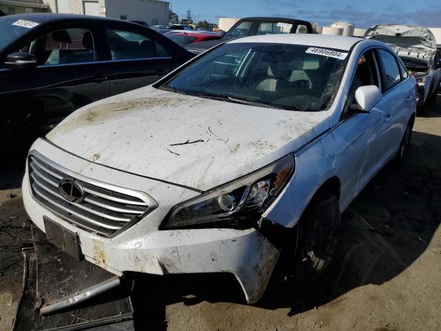 HYUNDAI SONATA 2015 5npe24af7fh015570