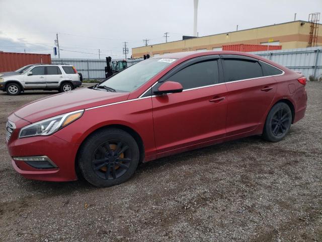 HYUNDAI SONATA 2015 5npe24af7fh020218