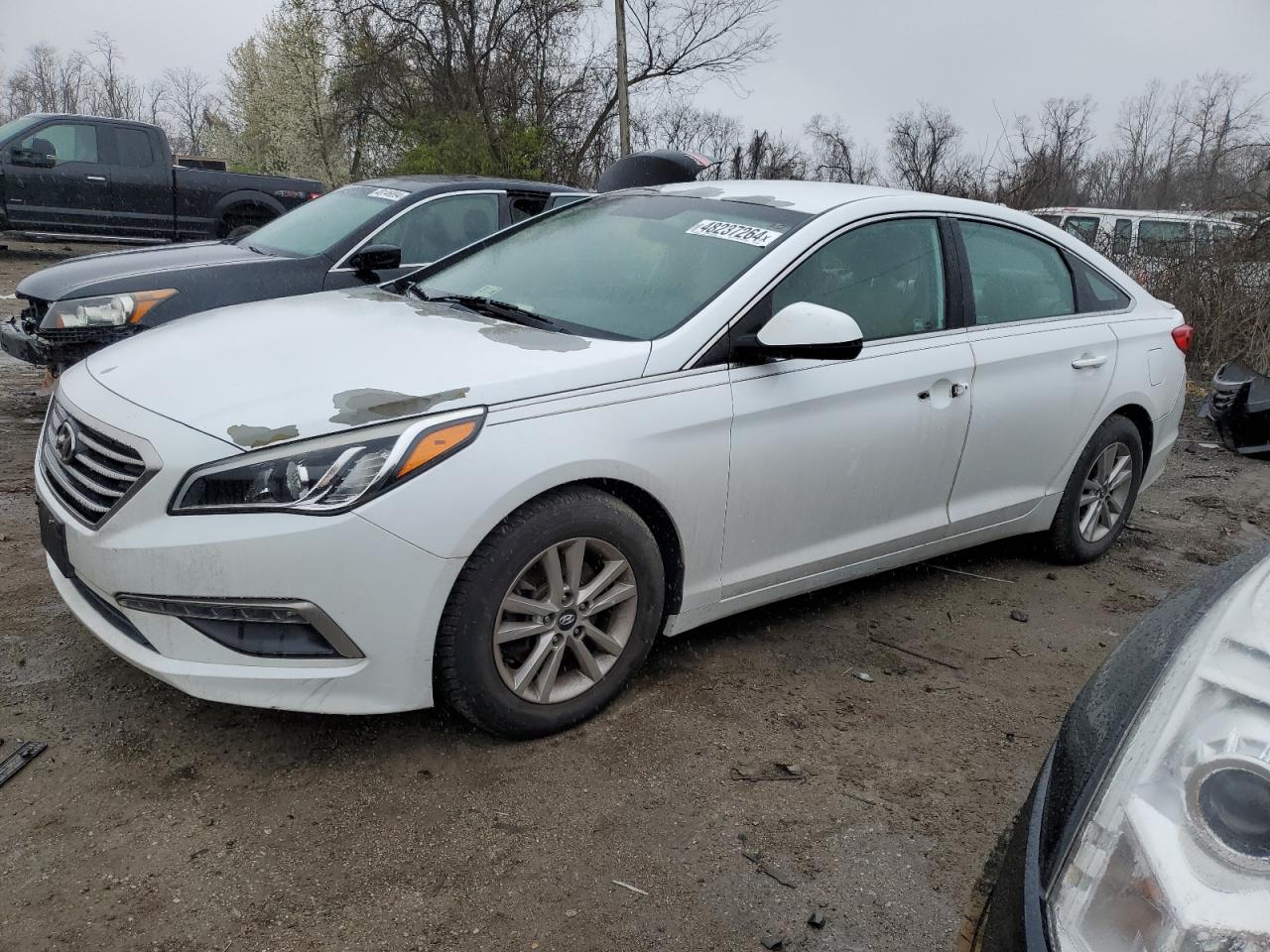 HYUNDAI SONATA 2015 5npe24af7fh045393