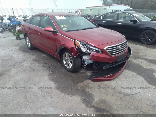 HYUNDAI SONATA 2015 5npe24af7fh049248