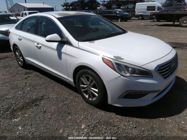 HYUNDAI SONATA 2015 5npe24af7fh108945