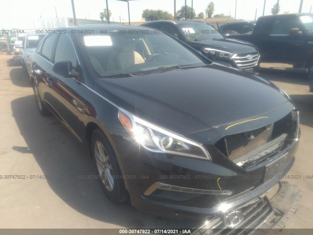 HYUNDAI SONATA 2015 5npe24af7fh119895