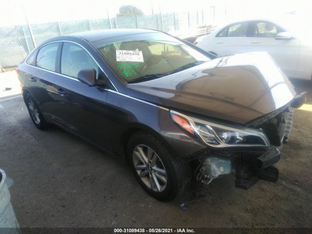 HYUNDAI SONATA 2015 5npe24af7fh127897