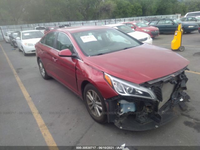 HYUNDAI SONATA 2015 5npe24af7fh137085