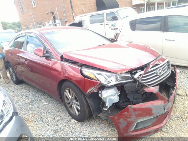 HYUNDAI SONATA 2015 5npe24af7fh144778