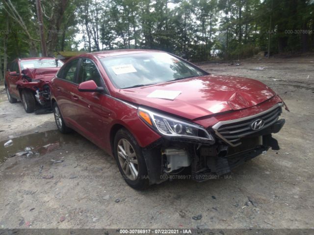 HYUNDAI SONATA 2015 5npe24af7fh145199