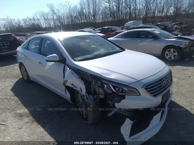 HYUNDAI SONATA 2015 5npe24af7fh145753