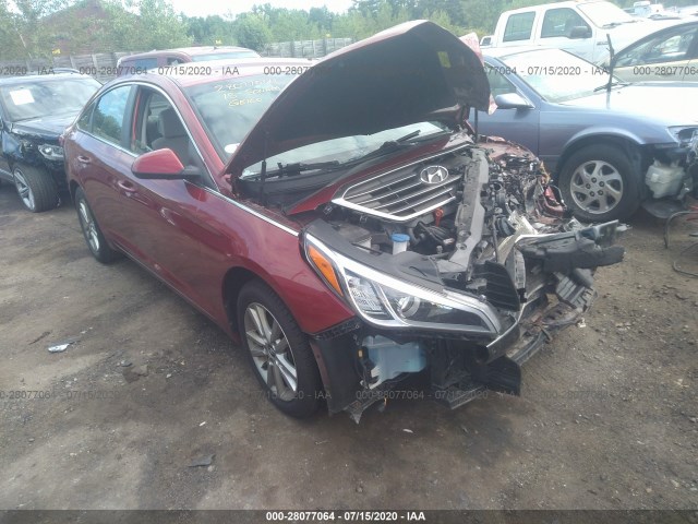 HYUNDAI SONATA 2015 5npe24af7fh152282