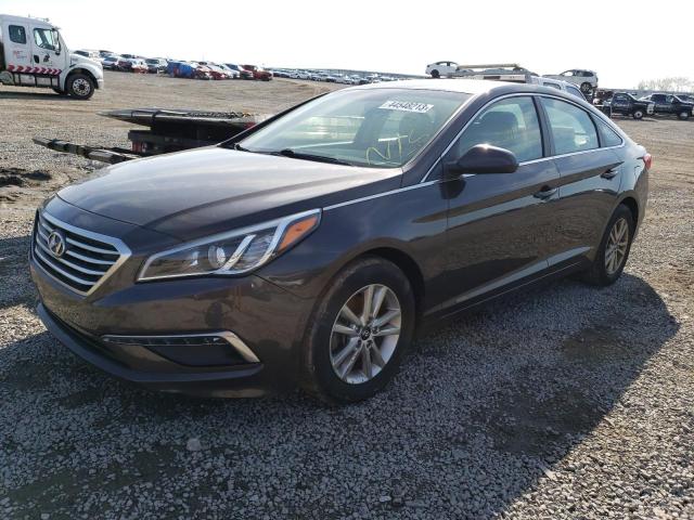 HYUNDAI SONATA SE 2015 5npe24af7fh155926