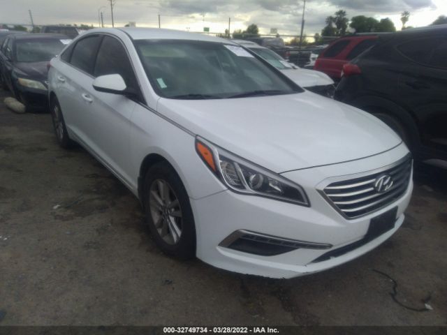 HYUNDAI SONATA 2015 5npe24af7fh168403