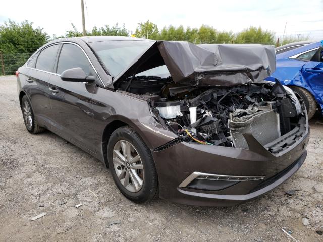 HYUNDAI SONATA SE 2015 5npe24af7fh168952