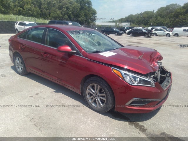 HYUNDAI SONATA 2015 5npe24af7fh188263