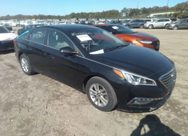 HYUNDAI SONATA 2015 5npe24af7fh218569