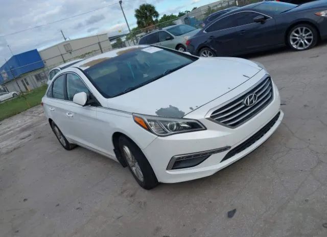 HYUNDAI SONATA 2015 5npe24af7fh242449