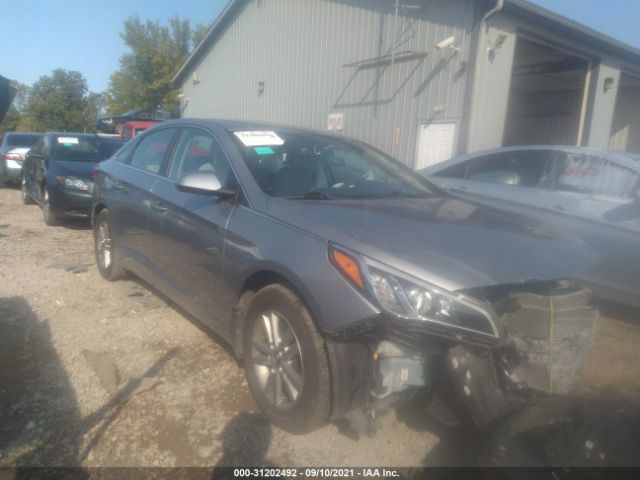 HYUNDAI SONATA 2015 5npe24af7fh242595