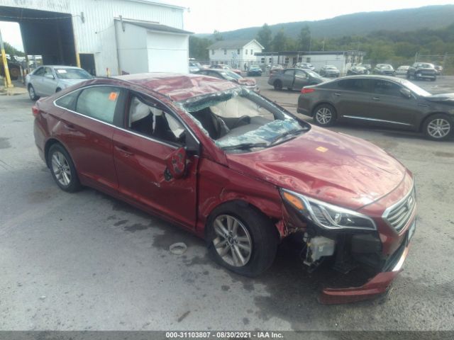 HYUNDAI SONATA 2015 5npe24af7fh253533