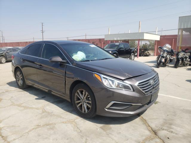 HYUNDAI SONATA SE 2016 5npe24af7gh262282