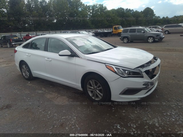 HYUNDAI SONATA 2016 5npe24af7gh282337