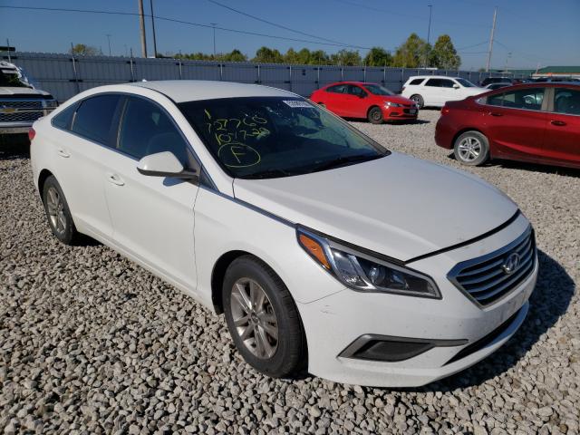 HYUNDAI SONATA SE 2016 5npe24af7gh282371