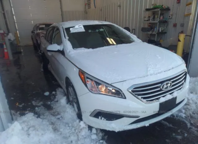 HYUNDAI SONATA 2016 5npe24af7gh282631