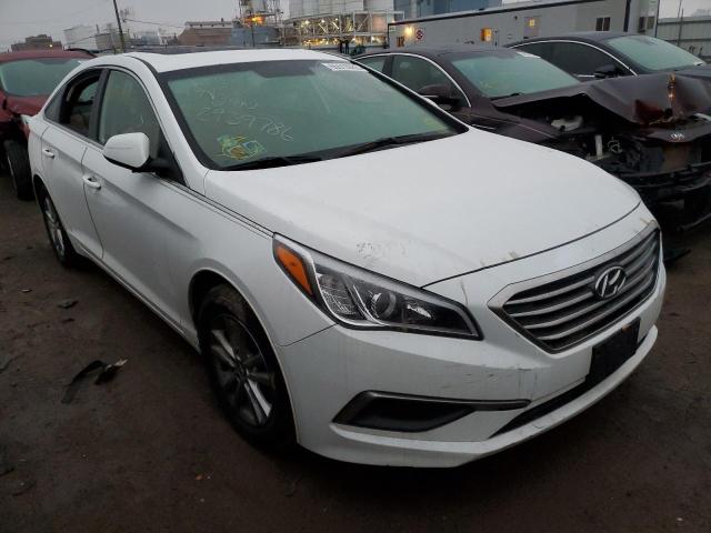 HYUNDAI SONATA SE 2016 5npe24af7gh284718