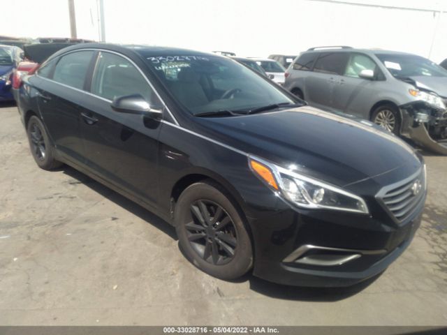 HYUNDAI SONATA 2016 5npe24af7gh286288