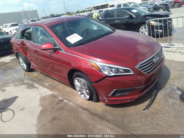 HYUNDAI SONATA 2016 5npe24af7gh288199