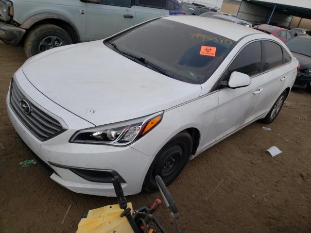 HYUNDAI SONATA 2016 5npe24af7gh288896