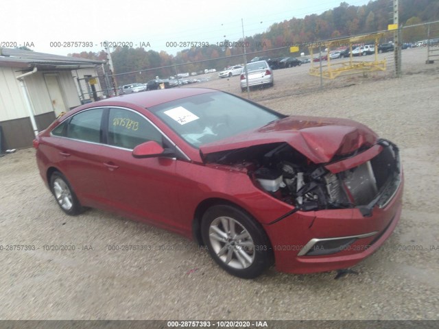 HYUNDAI SONATA 2016 5npe24af7gh291832