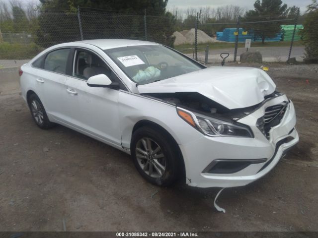 HYUNDAI SONATA 2016 5npe24af7gh293032