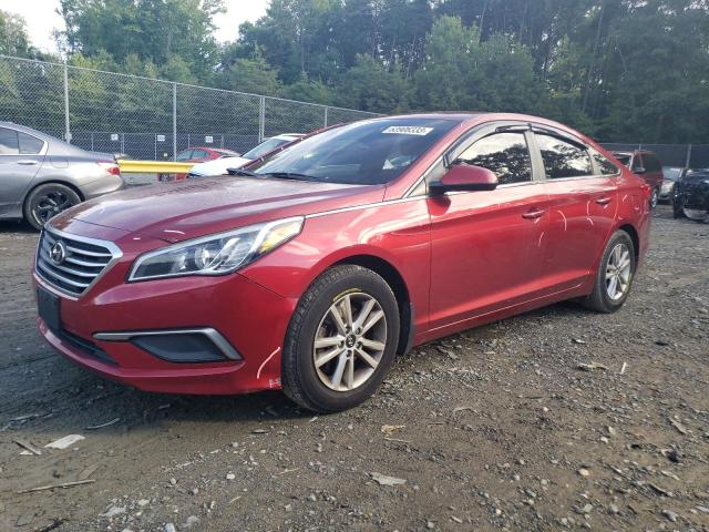 HYUNDAI SONATA 2016 5npe24af7gh293838