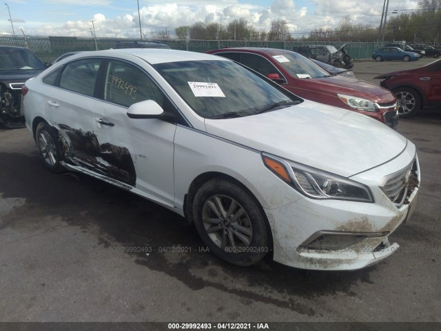 HYUNDAI SONATA 2016 5npe24af7gh293998