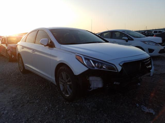 HYUNDAI SONATA SE 2016 5npe24af7gh299607