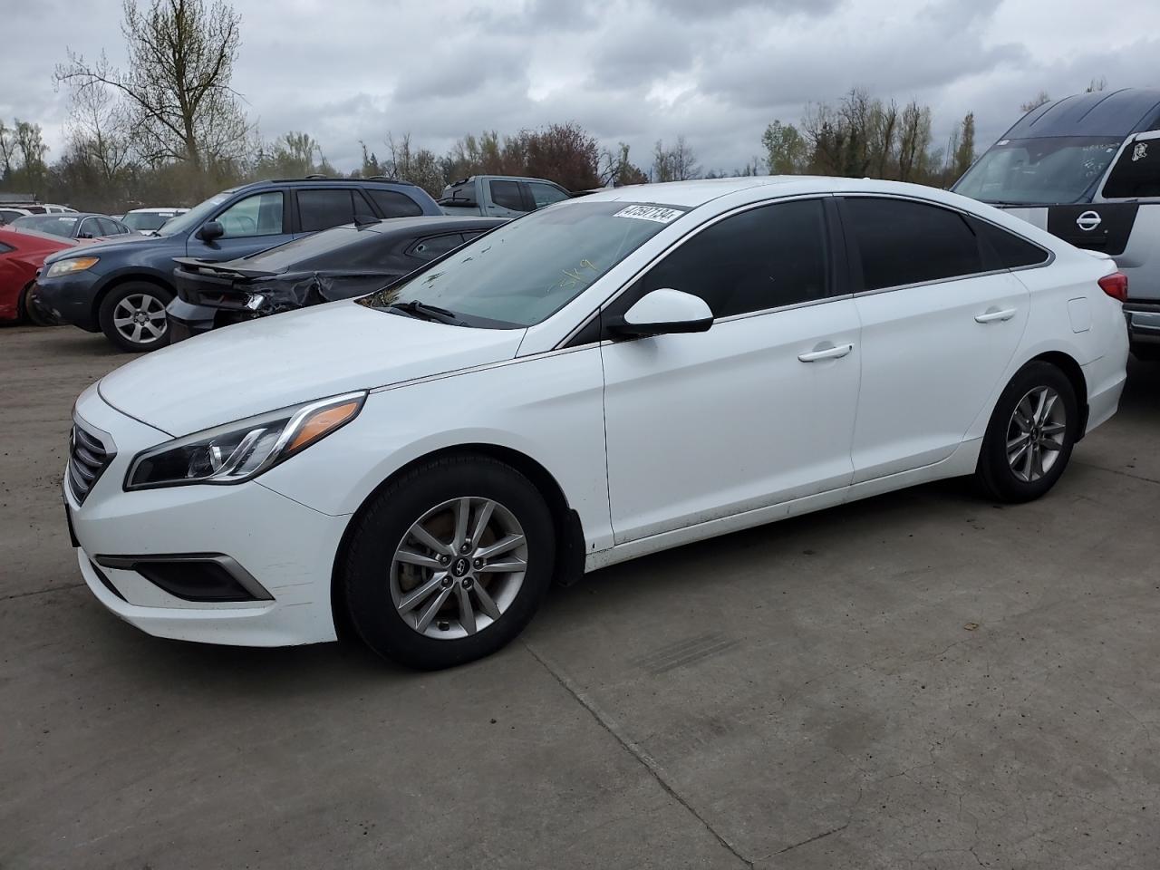 HYUNDAI SONATA 2016 5npe24af7gh301453