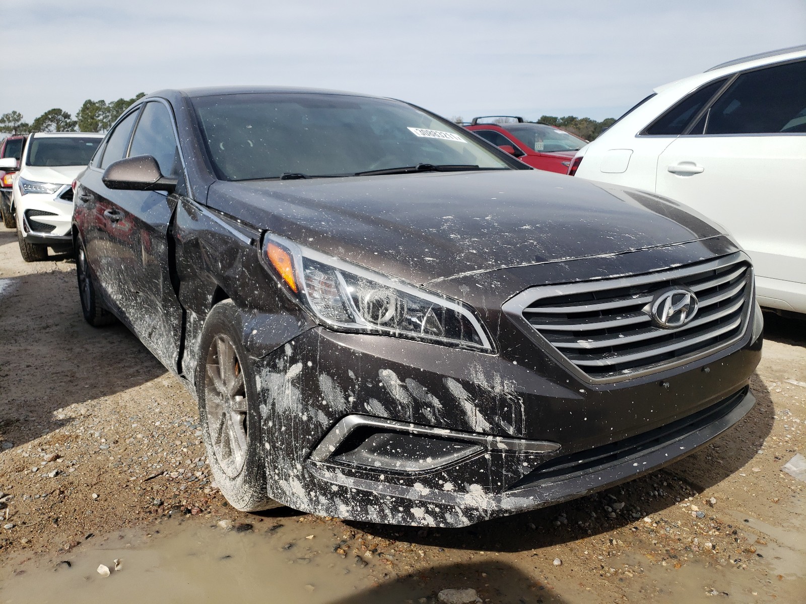 HYUNDAI SONATA SE 2016 5npe24af7gh301999