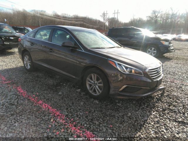 HYUNDAI SONATA 2016 5npe24af7gh311626