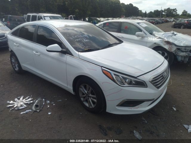 HYUNDAI SONATA 2016 5npe24af7gh315014