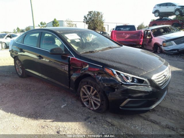 HYUNDAI SONATA 2016 5npe24af7gh316180