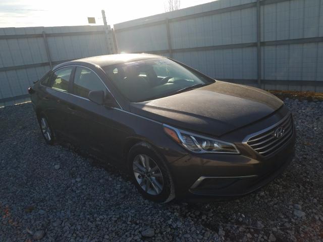 HYUNDAI SONATA 2016 5npe24af7gh316339