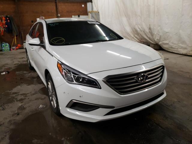 HYUNDAI SONATA 2016 5npe24af7gh320262