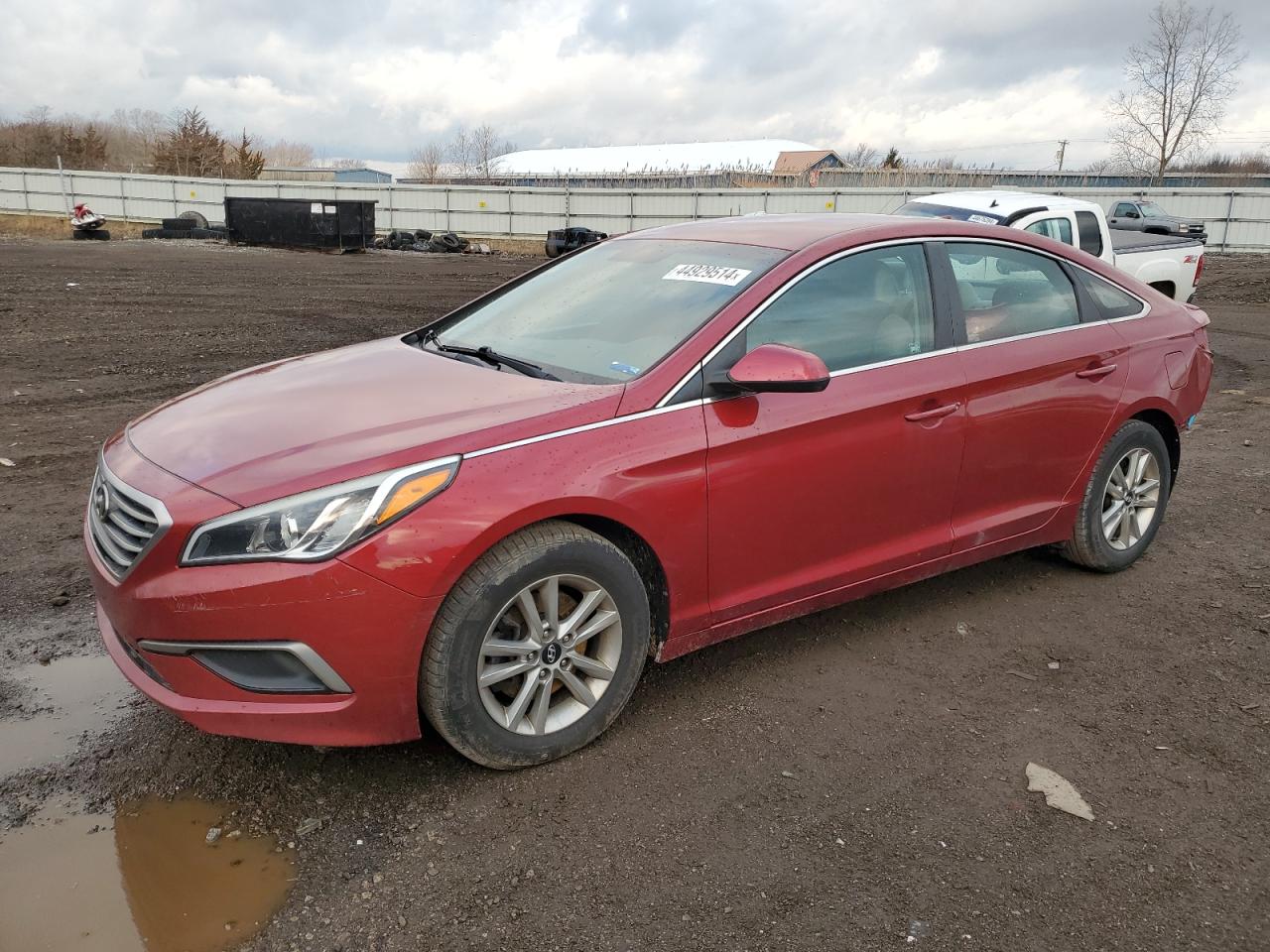 HYUNDAI SONATA 2016 5npe24af7gh322075